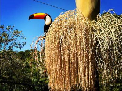 Screenshot 2023-01-06 at 16-35-05 Ziad (@ziad_morad) • Fotos e vídeos do Instagram