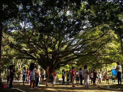 alunos-imersao-arvore